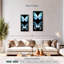 Miss Butterfly X-Ray - noir-1236669074