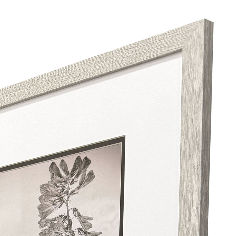 Wildflower Stems II Framed Art