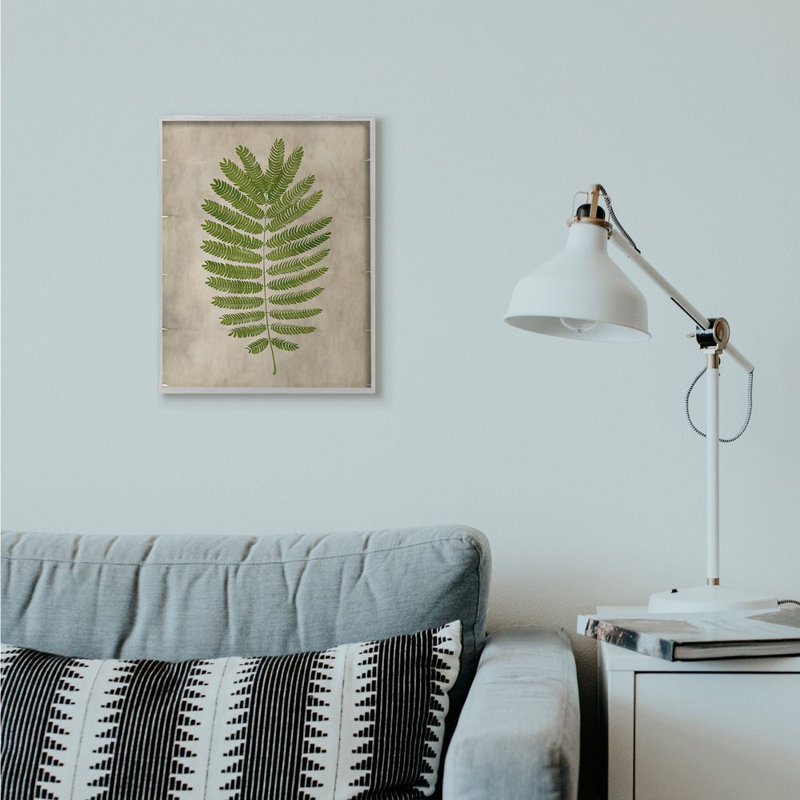 « plante parchemin green », impression, H 16 po x l 20 po, Estampe numérique Farmhouse