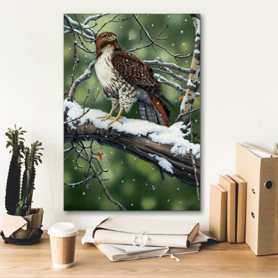 " Red Tailed Hawk " by William Vanderdasson