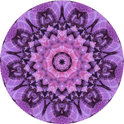 Indoor Rug