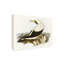 Bologle «Majestic Waterbird VI» sur un cadre-98249034