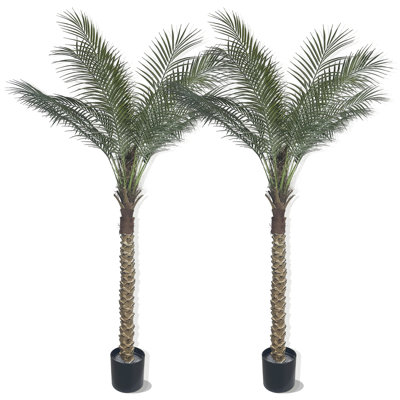 180cm Plant