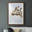 Grumpy - Photographie avec cadre photo-1107403276-1107403278