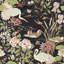 Crane & Frog Wallpaper-68778132