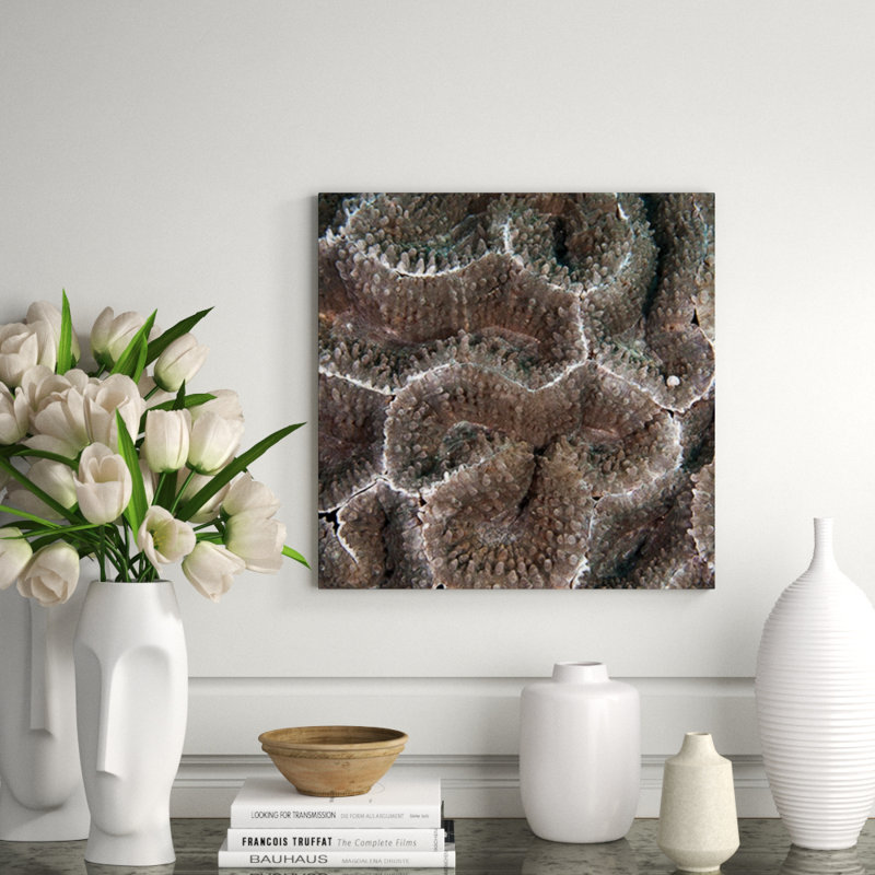 Underwater Beauty I Print by Austin Beiv, 1" Return, 22" H x 22" W x 1.5" D