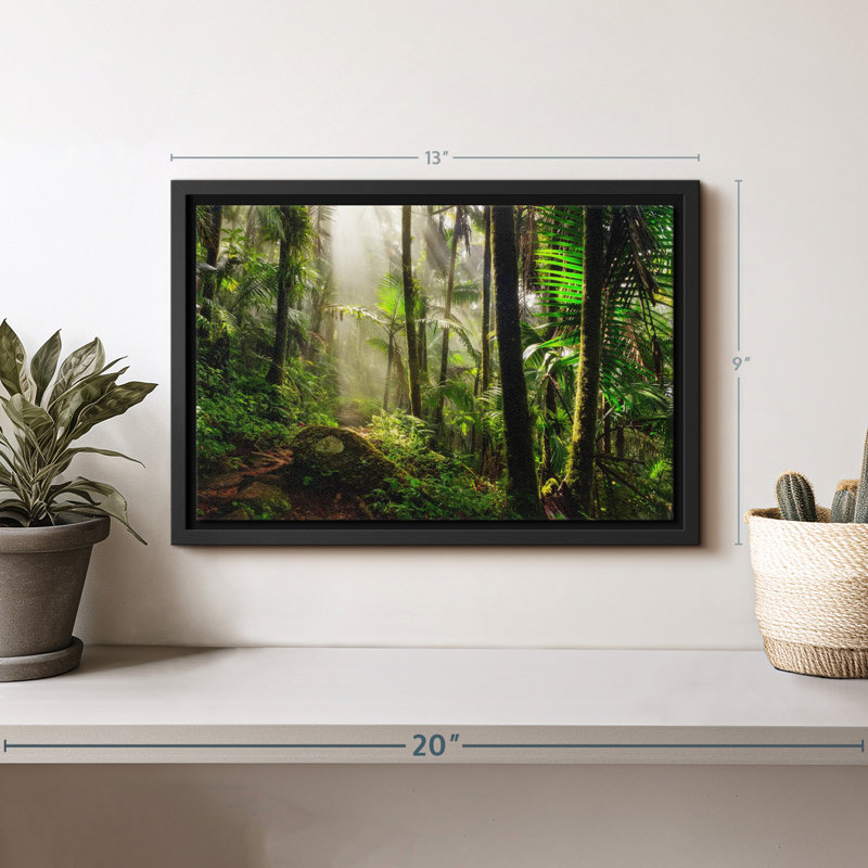 «El Yunque National Forest», reproduction sur toile, H 9 po x l 13 po