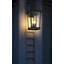 Allyiah 24 inch Outdoor Wall sconce in Black