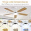 Ventilateur de plafond moderne à 5 pales avec lumière DEL et télécommande Derick-369074901-362760974