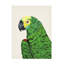  «Pamela Munger», art mural en toile-101098293