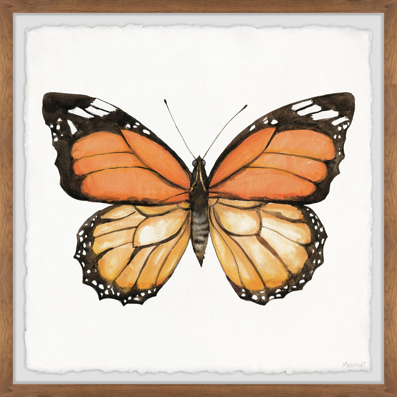 Butterfly Unleashed - Single Picture Frame Painting, 30cm H x 30cm W x 3.81cm D