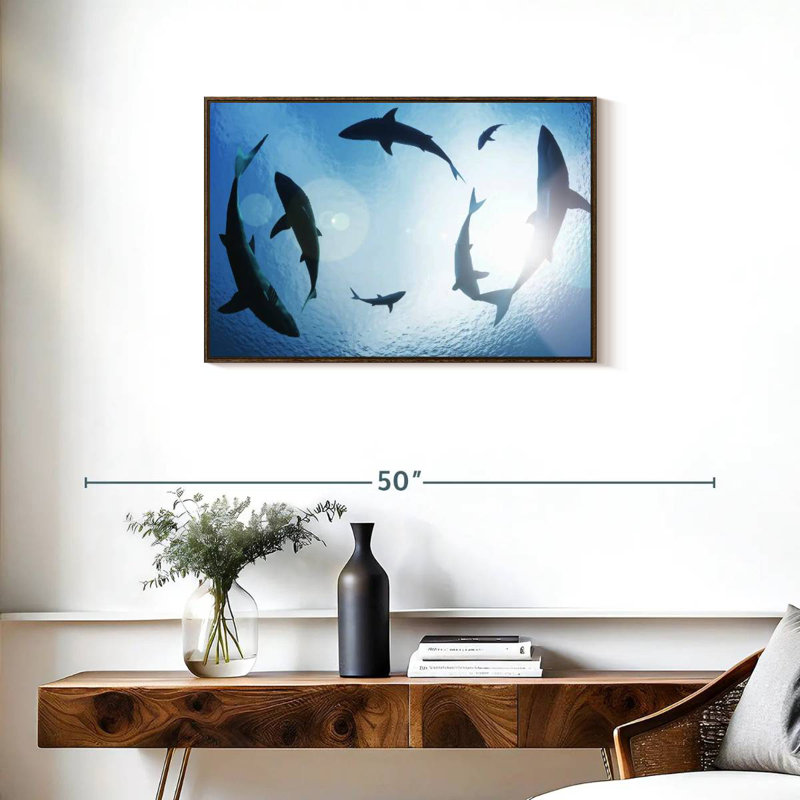 School Of Sharks, Floating Frame Walnut, 31" X 21"