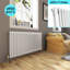 Zoie Horizontal Traditional Colosseum Radiator-165235218