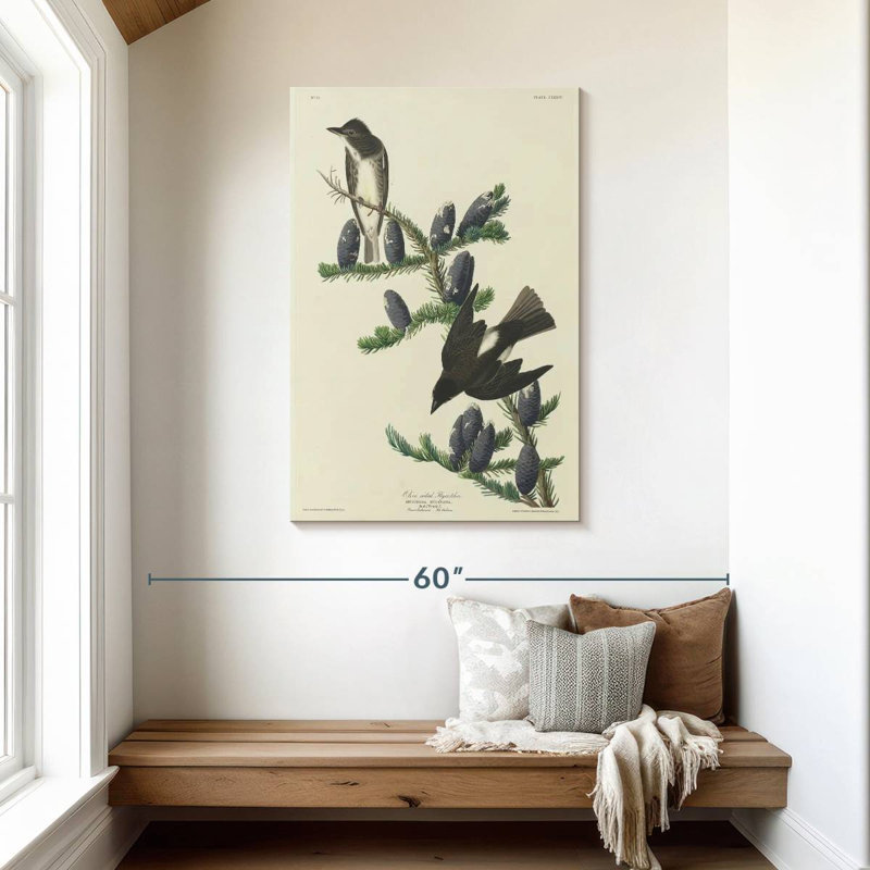 Olive Sided Flycatcher, 45" H x 30" W
