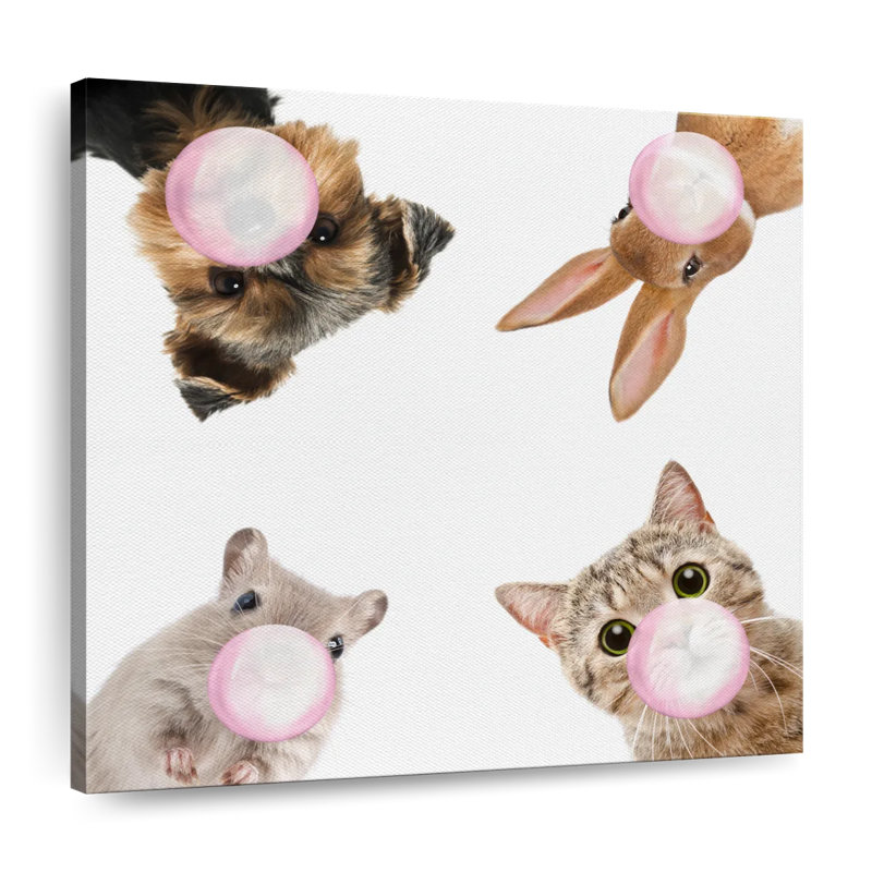 Impression sur toile Pet Bubble Gum, H 16 po x l 16 po x P 1,25 po