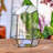 Closed Geometric Glass Enclosure With Front Opening Door