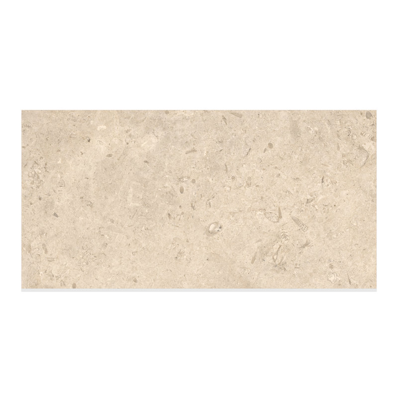 Fossil Stone Matte 12x24 Porcelain Floor & Wall Tile (15.5 Sq. Ft./Case), Tan