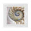 Nautilus Pearl Cotton Sateen Dinner Napkins