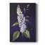 FLORAL Series CC XXVII - Gallery Cavas-2032115888