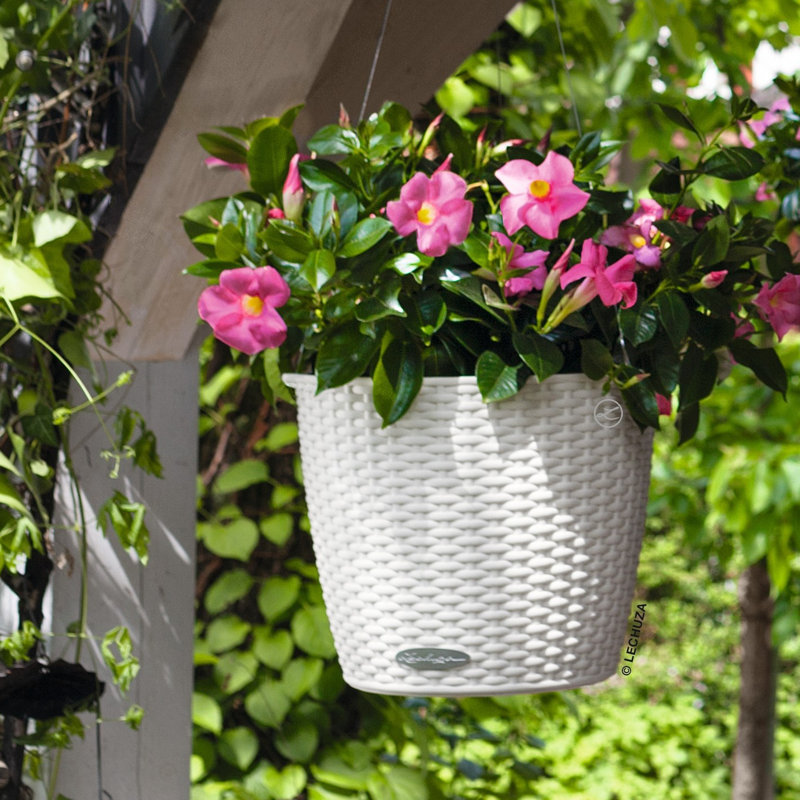 Hanging Planter, White, 23cm H x 27cm W x 27cm D