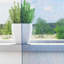 Voile Curtains With Tab Top 2 Pcs-2099272488-2099272538