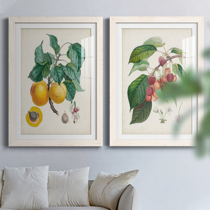 Abricot Peche - ensemble de reproduction d'art sur toile, H 31,5 po x l 47 po x P 1,5 po, Papier encadré blanc, Blanc