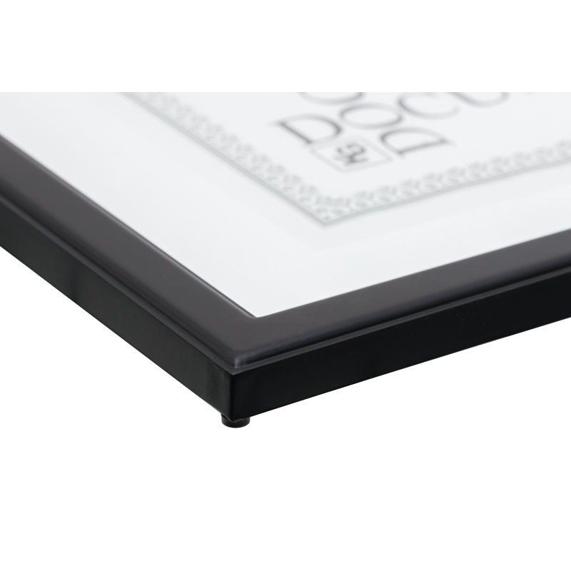 Black Matte Picture Frame with Mat