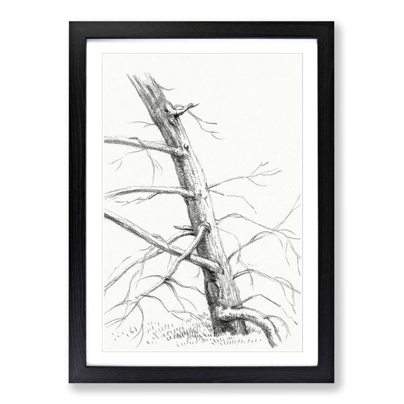 Study of a Tree by Jean Bernard - Picture Frame Painting Print, Black Framed, 36cm H x 27cm W x 2cm D