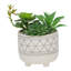 Plante molle artificielle en pot-35758085-35758087