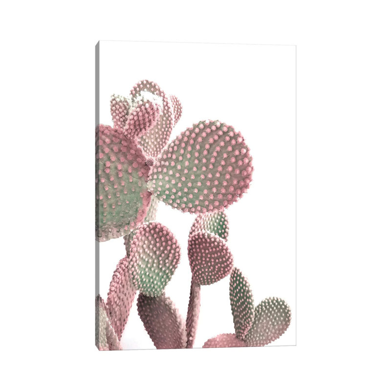 Cactus On White by Emanuela Carratoni - Wrapped Canvas Gallery-Wrapped Canvas Giclée, 20.32 cm H x 30.48 cm W