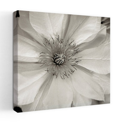 Florison 32 Contemporary Flower Art