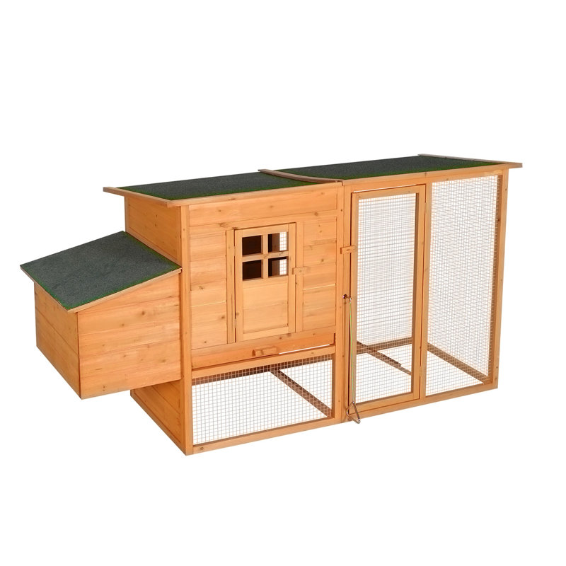 Poulailler d'extérieur en bois extra-large