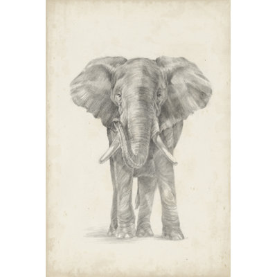 Elephant Sketch II by Ethan Harper - Painting