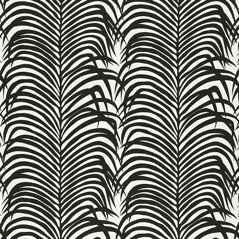 Tissu palmier zébré, Ébène