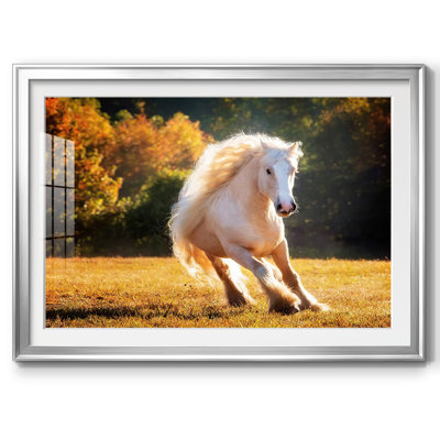 " Horse Motion IV "