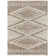 Alganon Indoor Rug