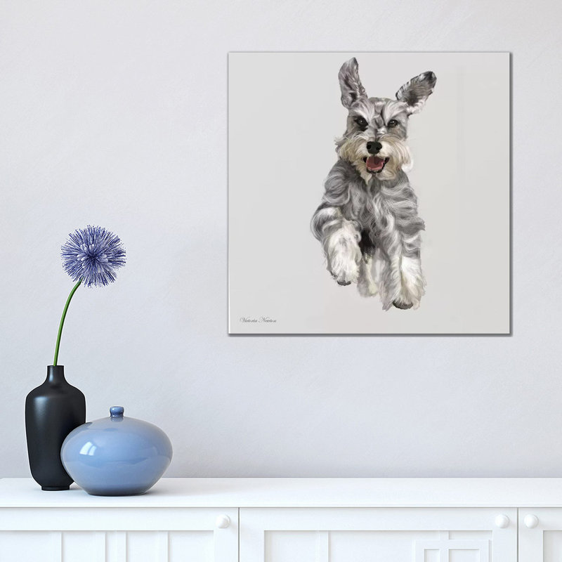 Schnauzer by Vicki Newton - Wrapped Canvas Print, 45.72 cm H x 45.72 cm W x 3.175 cm D