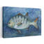 «Blue Striped», art mural tropical-642763144