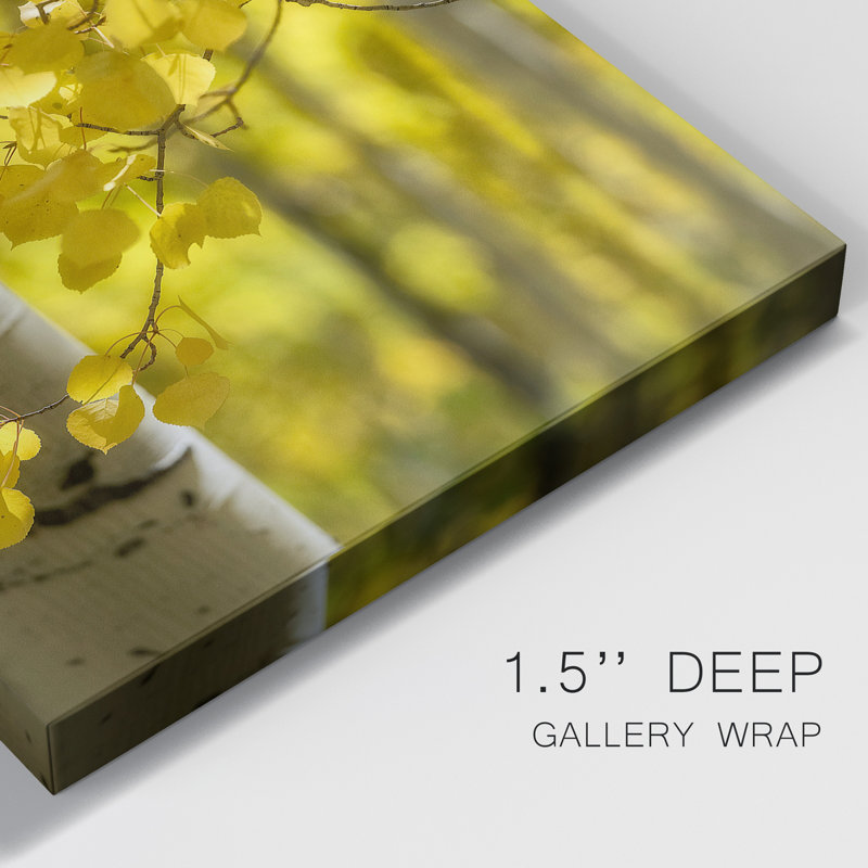 " Aspen Highlights ", 60" H x 40" W x 1" D