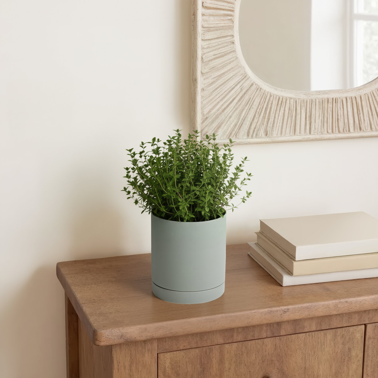 Carlotta 12" Ceramic Pot Planter, Green, 7" H x 7" W x 7" D