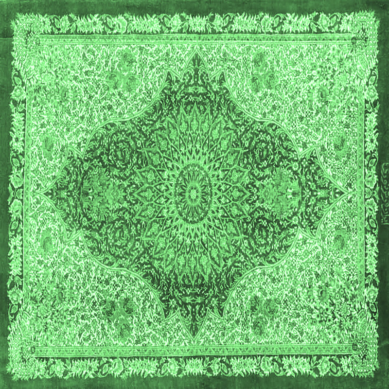 Macala Washable Oriental Indoor Rug, Square 5'