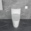 Toilette allongée monobloc 1,1 / 1,6 GPF à double chasse 12 po