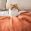 BedBedsure GentleSoft Sherpa Fleece Throw Blanket, Thick Cozy Comfort for Winter & Fall, Soft Fuzzy Blanket for Couch and Bed-1928280630-1928524778
