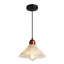 1- Luminaire suspendu simple avec verre transparent