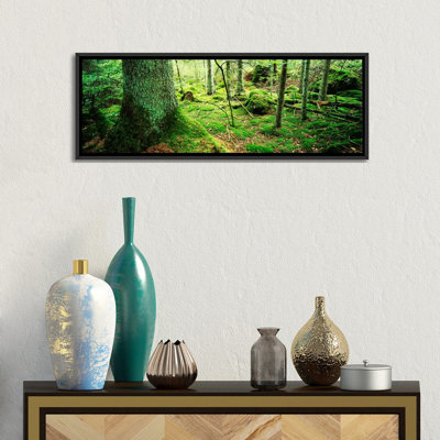 " Close-up Of Moss On A Tree Trunk In The Forest, Siggeboda, Smaland, Sweden " by Panoramic Images