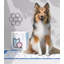 Tapis pour chien (ensemble de 80)