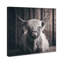 «Kathern Baby Highland Cow» par Wynwood Studio-989810036