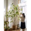 Décoration d'intérieur en bois petite plante verte-110909305