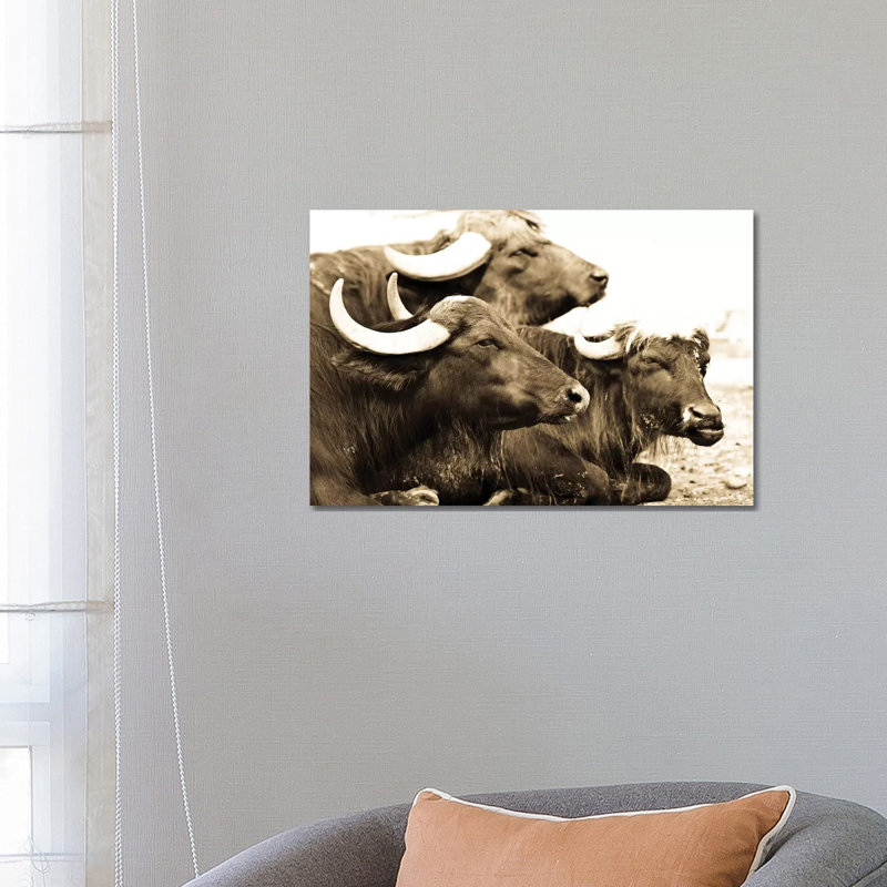 Bisons I 1 Piece Wrapped Canvas Wall Art, 66.04 cm H x 45.72 cm W x 3.175 cm D