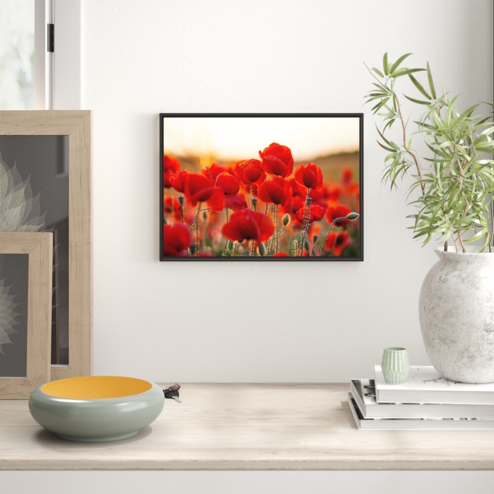 Gerahmtes Wandbild Feuriger Mohn